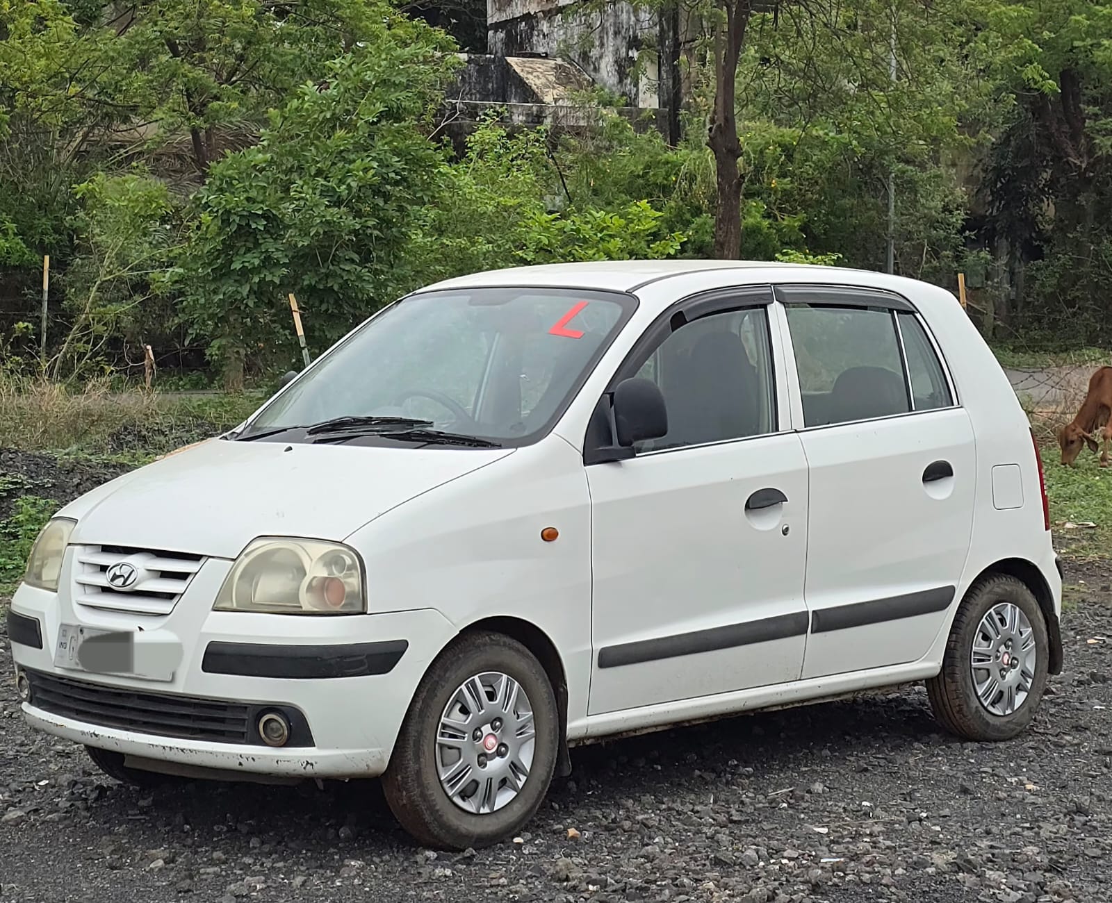 Car Images